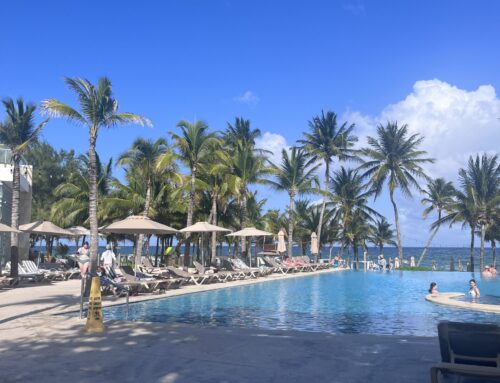 A Perfect Playa Del Carmen Getaway: Relaxation, Adventure & A Monkey Who Stole My Coffee