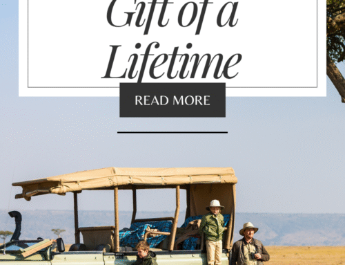 Why a Safari Isn’t Just a Trip—It’s the Gift of a Lifetime